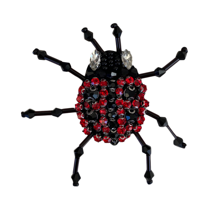 Lady Bug (small)